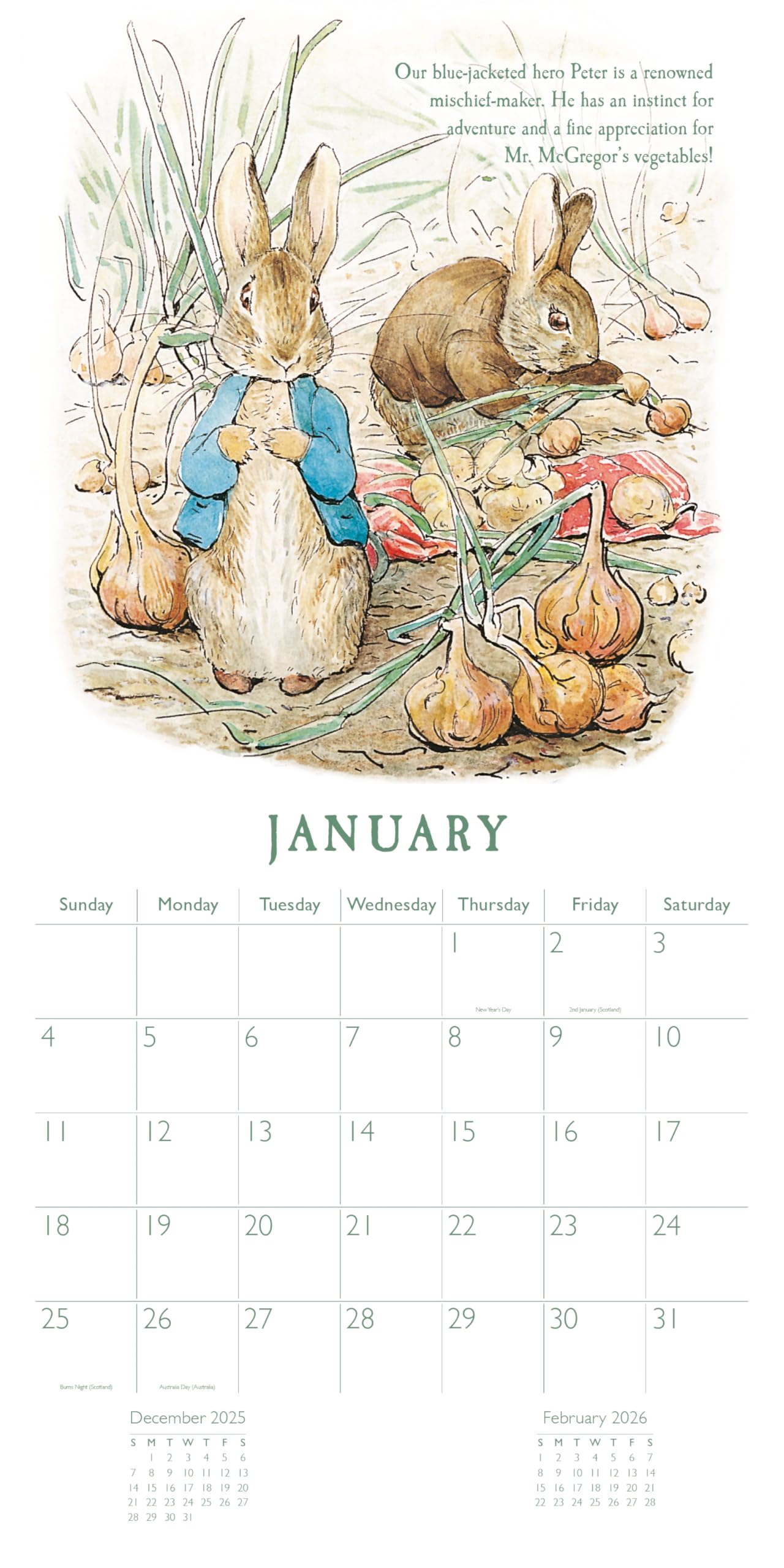 Amazon | Peter Rabbit(ピーターラビット) 2026年 正方形 壁掛け